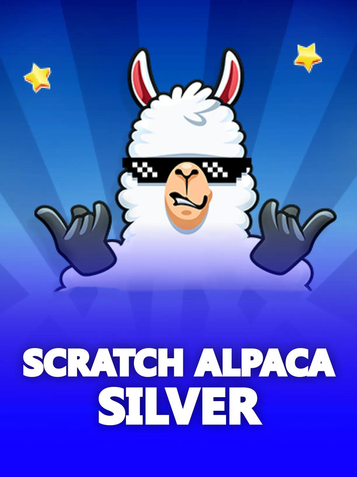 Scratch Alpaca Silver
